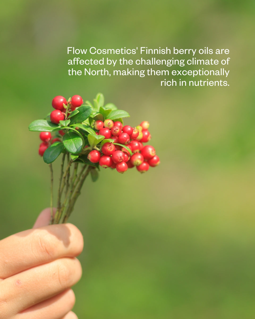 Flow Cosmetics Arctic Beauty Cream kasvovoide 50ml