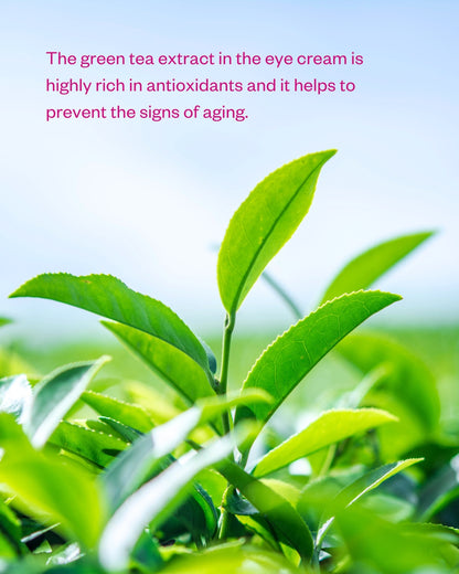 Flow Cosmetics Green Tea & Peptide Eye Cream 15ml